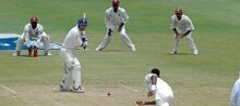 Cricket image